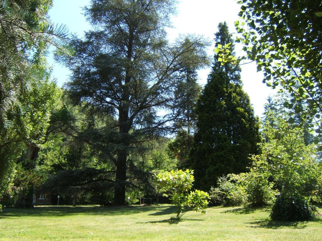 Chambres D'Hotes Chateau De Viviez Bagian luar foto