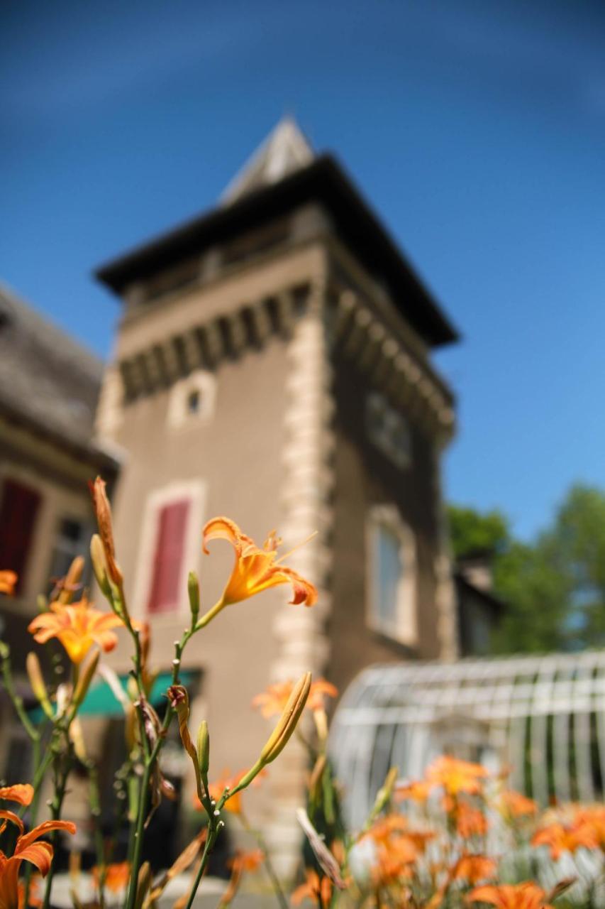 Chambres D'Hotes Chateau De Viviez Bagian luar foto